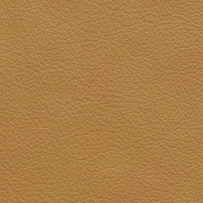 Palomaalmond